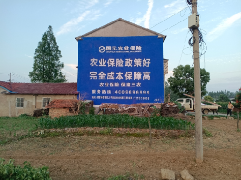 南丹墙体广告为何受追捧？